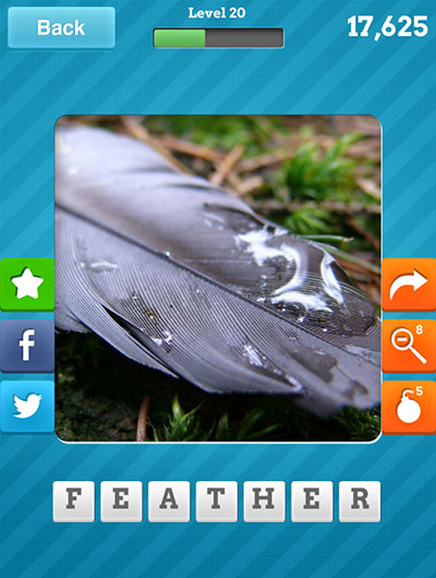  Feather 