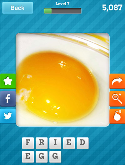  Fried Egg 