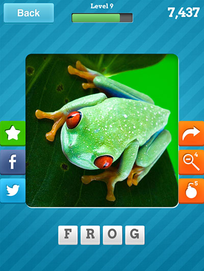  Frog 