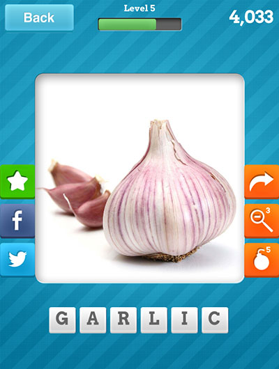  Garlic 