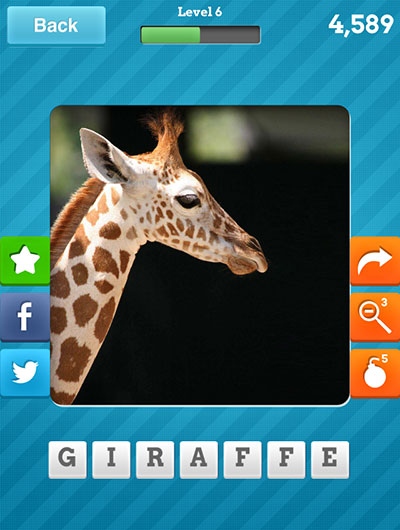  Giraffe 