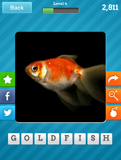  Goldfish 