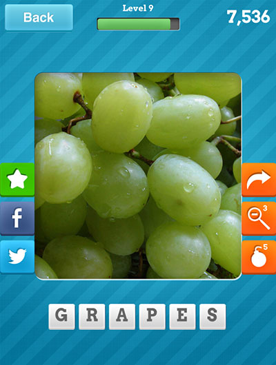  Grapes 