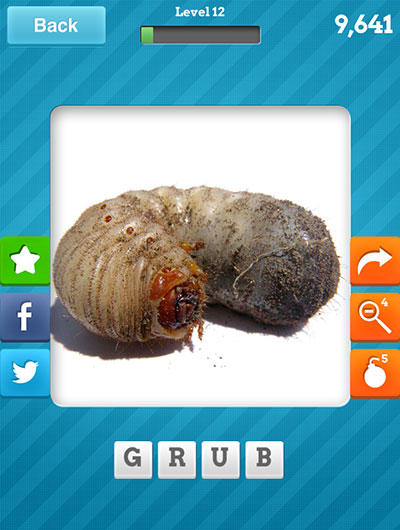  Grub 