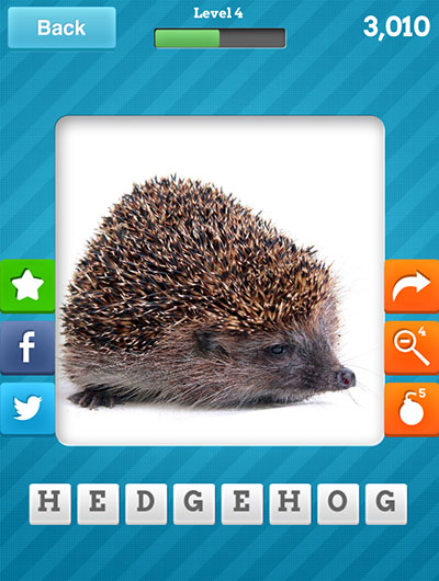  Hedgehog 