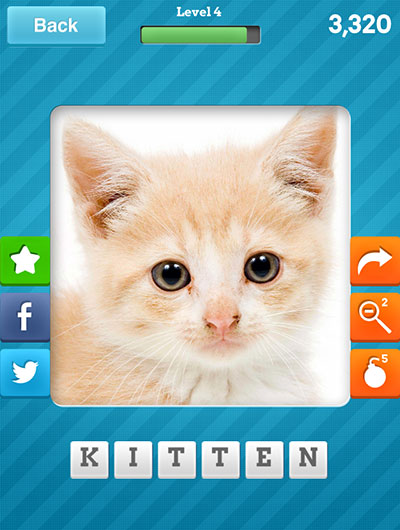  Kitten 