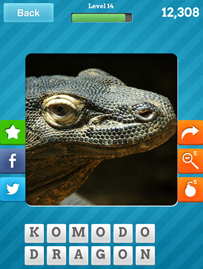  Komodo Dragon 