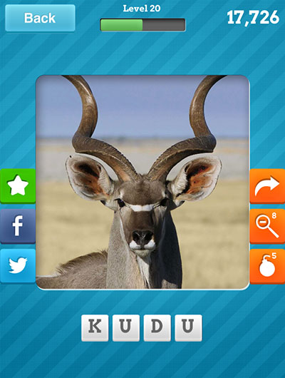  Kudu 