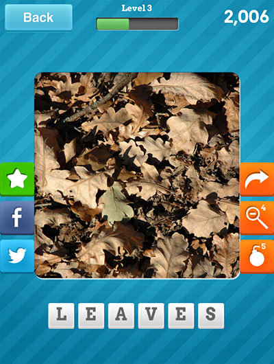  Leaves 
