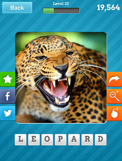  Leopard 