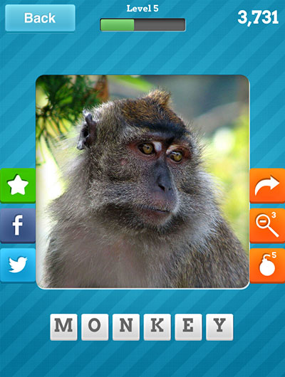  Monkey 