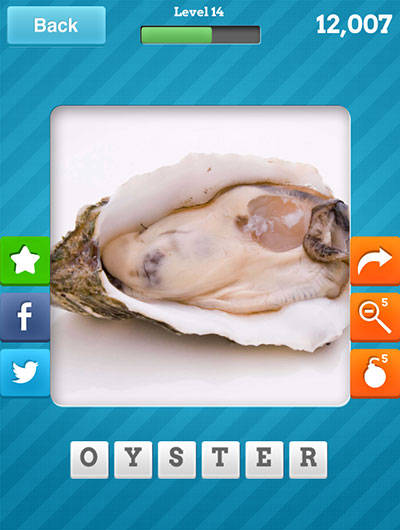  Oyster 