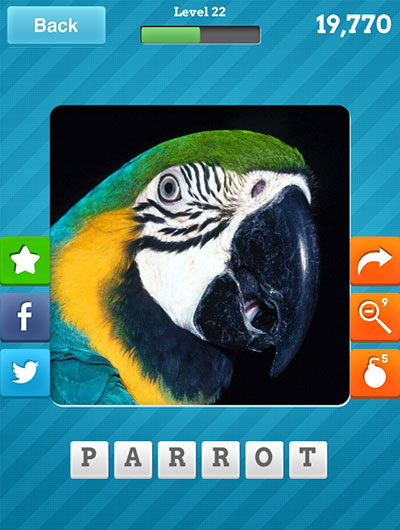  Parrot 