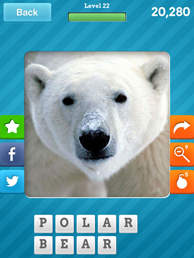  Polar Bear 
