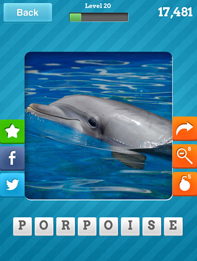  Porpoise 