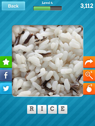  Rice 