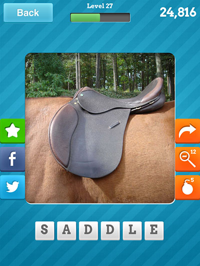  Saddle 
