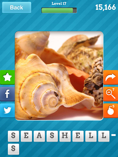  Seashells 