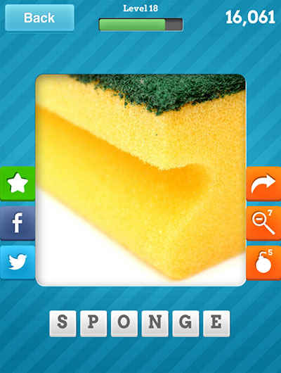  Sponge 