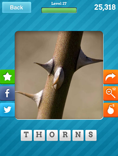  Thorns 