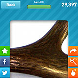  Antler 