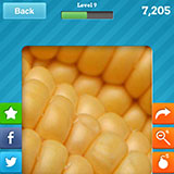  Sweetcorn 