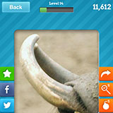  Warthog 
