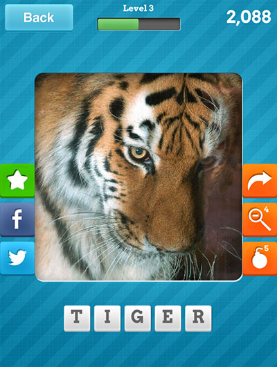  Tiger 