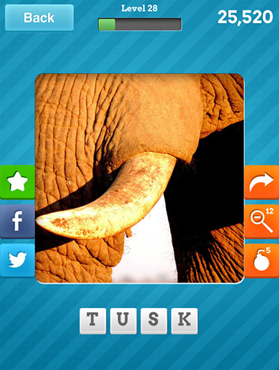  Tusk 