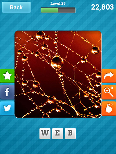  Web 