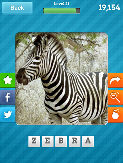  Zebra 