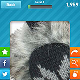  Earmuffs 