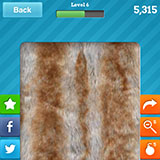  Faux Fur Coat 