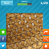  Straw Hat 