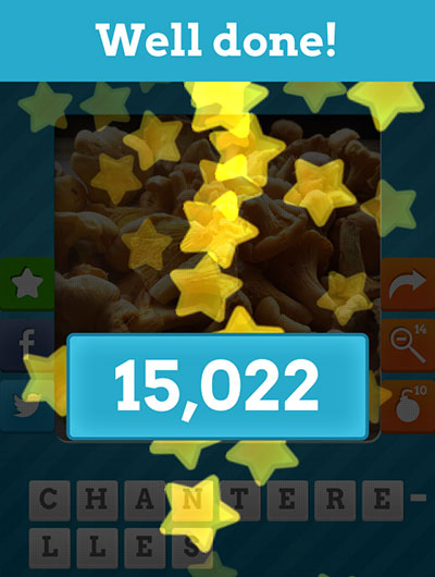  Chanterelles 