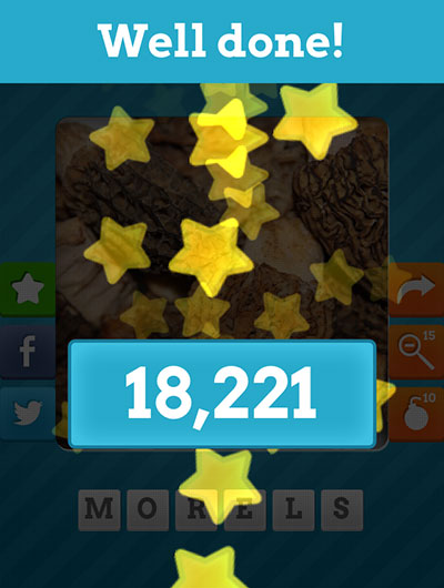  Morels 