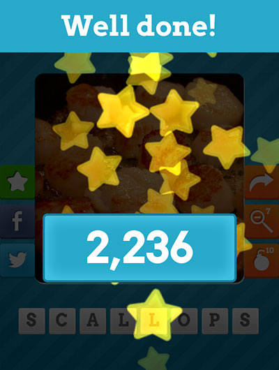  Scallops 