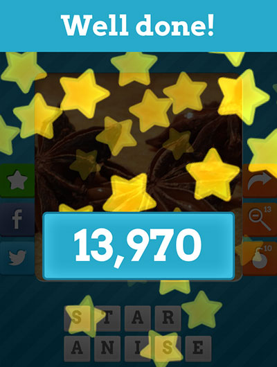  Star Anise 