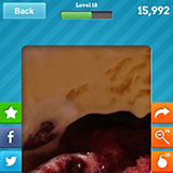  Baked Alaska 