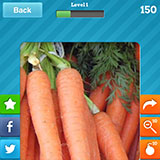  Carrots 