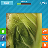  Cauliflower 