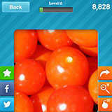  Cherry Tomatoes 