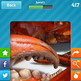  Crab 