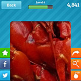  Crayfish 