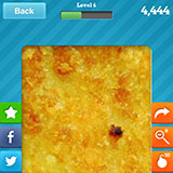  Fish Cakes 