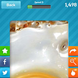  Fried Egg 