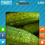  Gherkins 