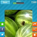  Gooseberry 