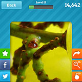  Green Grapes 