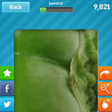  Green Pepper 